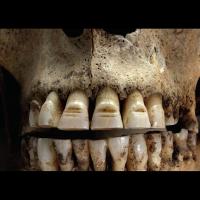 dents limees photo par le british museum
